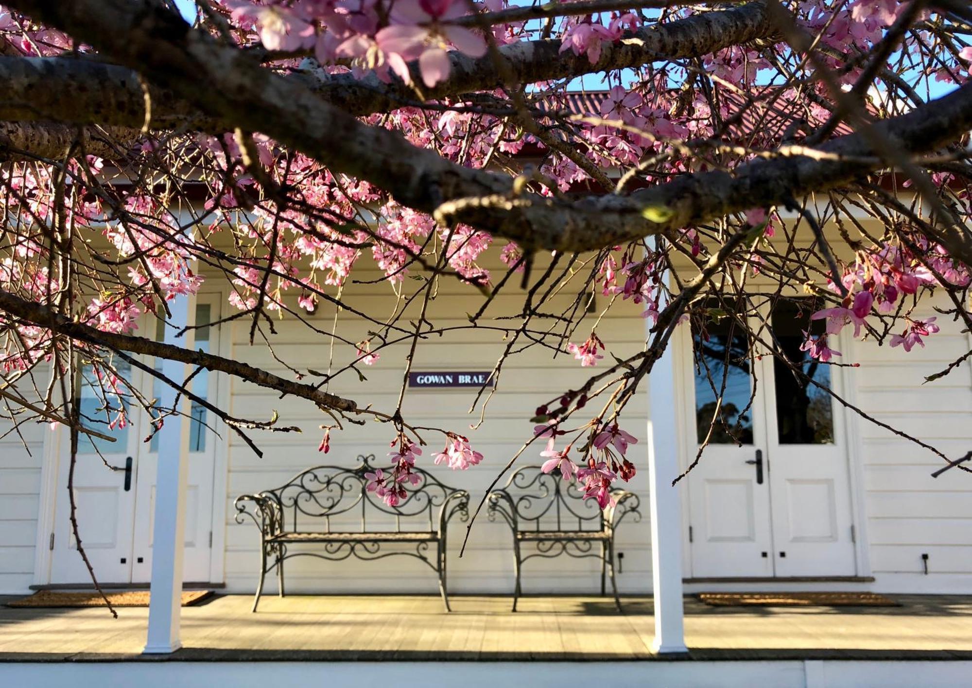 Gowan Brae Cottage Katoomba Zewnętrze zdjęcie